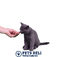 Dog Food Cat Sticker by Pets Deli