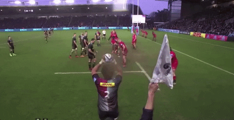 sammytuitalifalinoaa giphyupload GIF