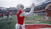 High Five Stefon Diggs GIF by New England Patriots