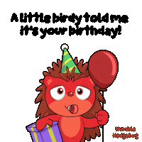 Happy Birthday To You Party Sticker by VeeFriends