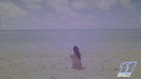 I'm on Vacation - VHS Dub