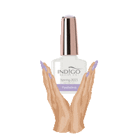 Colors Hands Sticker by Indigo Nails