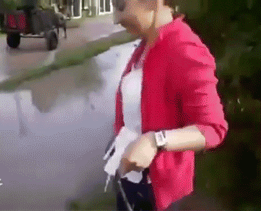 Puddles GIF