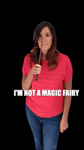 lisajohnsoncoaching magic do it fairy you can do it GIF