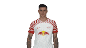 Rb Leipzig No Sticker by Bundesliga