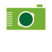 bibigo_uk food green photo camera Sticker