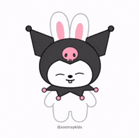 Stray Kids Skz GIF