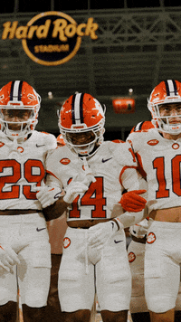 Football Ncaa GIF by Clemson Tigers