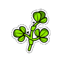 Alfalfa Agronomy Sticker by LG Seeds