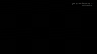 Liquid Motion Elements