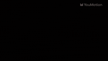 Animated Portfolio Slides
