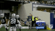 Las Vegas Raiders Football GIF by NFL