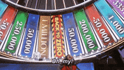 Oh My Omg GIF by SpinTheWheel