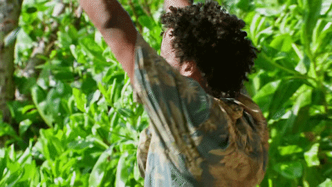 Happy Merge GIF by Survivor CBS