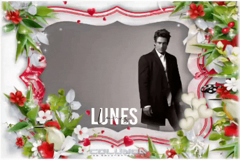 ananickol giphyattribution GIF