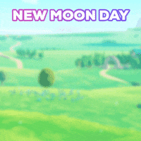Lunar New Year Desert GIF by Everdale