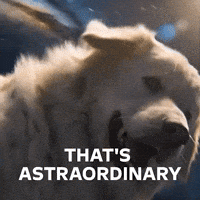 Car Automobile GIF by Opel