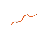 Wave Orange Sticker