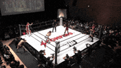 Debbie Keitel GIF