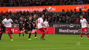 1 Fc Cologne Football GIF by 1. FC Köln