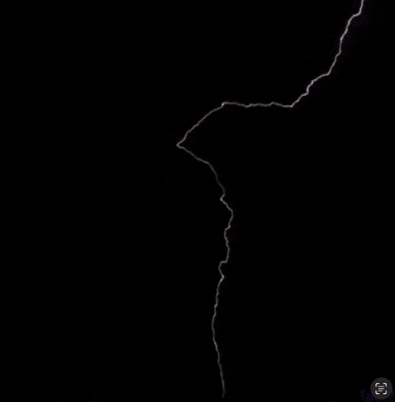 CarolineDenby giphygifmaker GIF