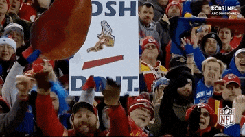 Buffalo Bills Football GIF by NFL