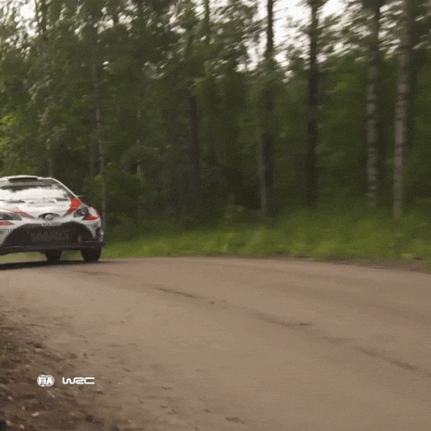 Flying Take Off GIF by FIA World Rally Championship