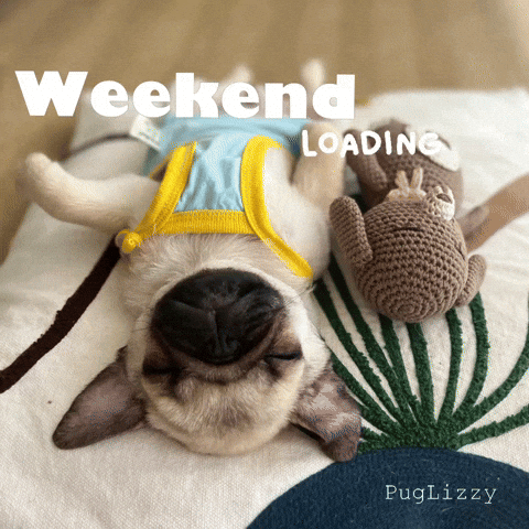 Weekend Relaxing GIF