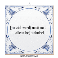 Spirit Nl Sticker by Tegelspreuken.nl