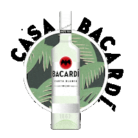 Party Festival Sticker by Bacardi