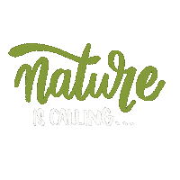 Summer Spring Sticker