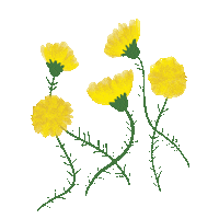 Flowers Spring Sticker