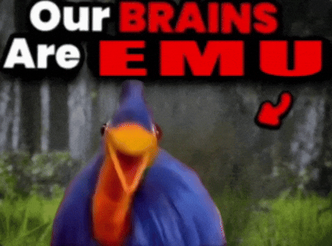 Bird Brain GIF