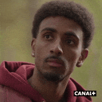 Irl Village GIF by CANAL+