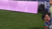 Pop In Lol GIF by NZWarriors
