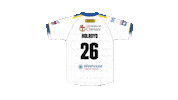 The Wire Sticker by Warrington Wolves