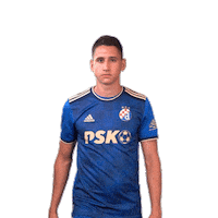 Football Soccer Sticker by GNK Dinamo