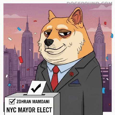 Ballot Box Win GIF by Doge Pound