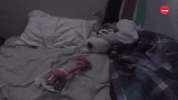 Midnight Bite