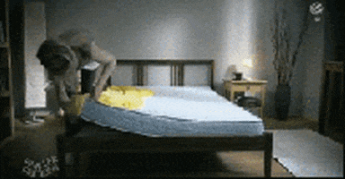 bed ants GIF