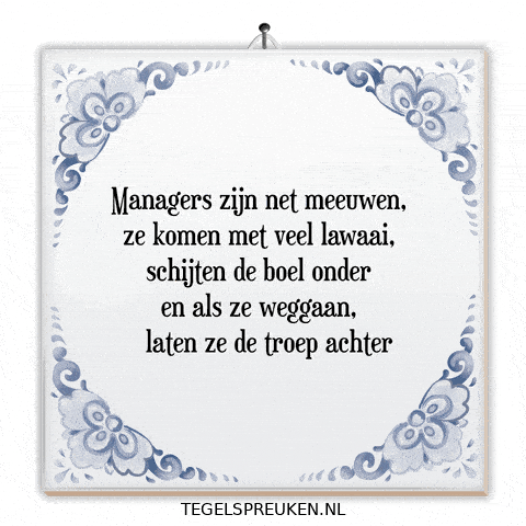 Chaos Wijsheid GIF by Tegelspreuken.nl