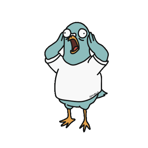 Bird What Sticker