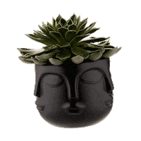 Vase Accessoire Sticker by home24
