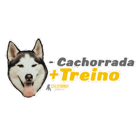 GrupoCaliforniaFitness academia treino californiafitness cachorrada Sticker
