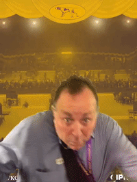 wkcdogshow GIF by Westminster Kennel Club