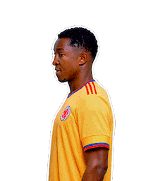 Copa America Football Sticker by Caracol Television