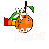 ProjectPride rainbow orange lgbtq florida Sticker