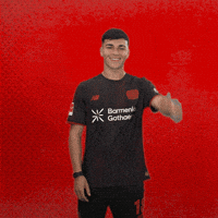 Bayer 04 Love GIF by Bayer 04 Leverkusen