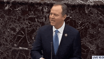 Adam Schiff Impeachment GIF by GIPHY News