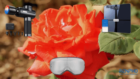 Valentines Day Love GIF by RENPHO